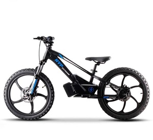Controller  for Charged 20" Balance E Bike