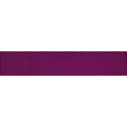 Frame Strap Race Bike Overlock Backcountry Purple