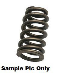 Exhaust Valve Spring Psychic