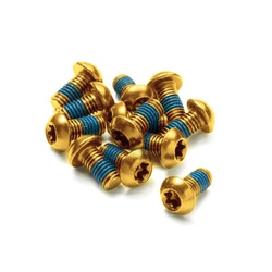 Disc Rotor Bolt Set 12 pcs. Bicycle Gold