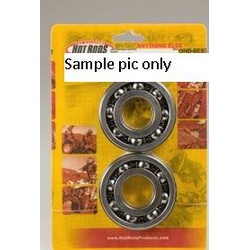 Crank Bearings & Seals Kit TRX350