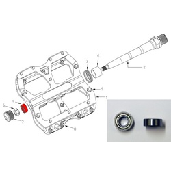 Bearing for Escape Pedal Bike Reverse